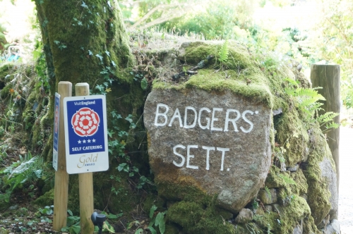 Photo Gallery Image - Badgers Sett Holiday Cottages sign, freshly painted and looking good
