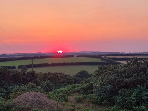 Counting down to a fabulous Cornish Summer