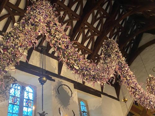 Sixty Feet of Charming Festive Bloom , Cotehele
