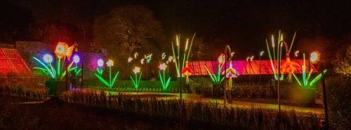 Heligan's Night Garden