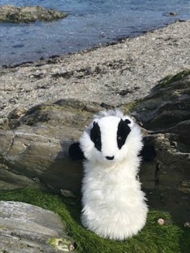 Billy Having Fun in the Rock Pools