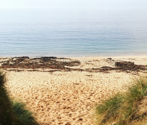 Glorious Whitsand Bay