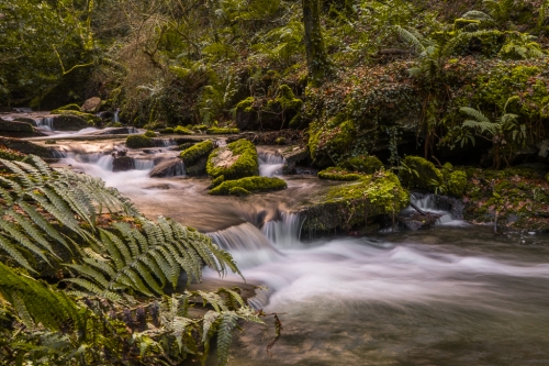 St Nectan's Glen