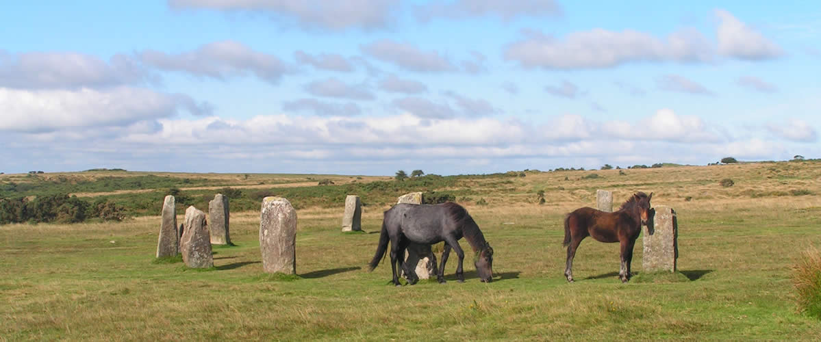 The Hurlers